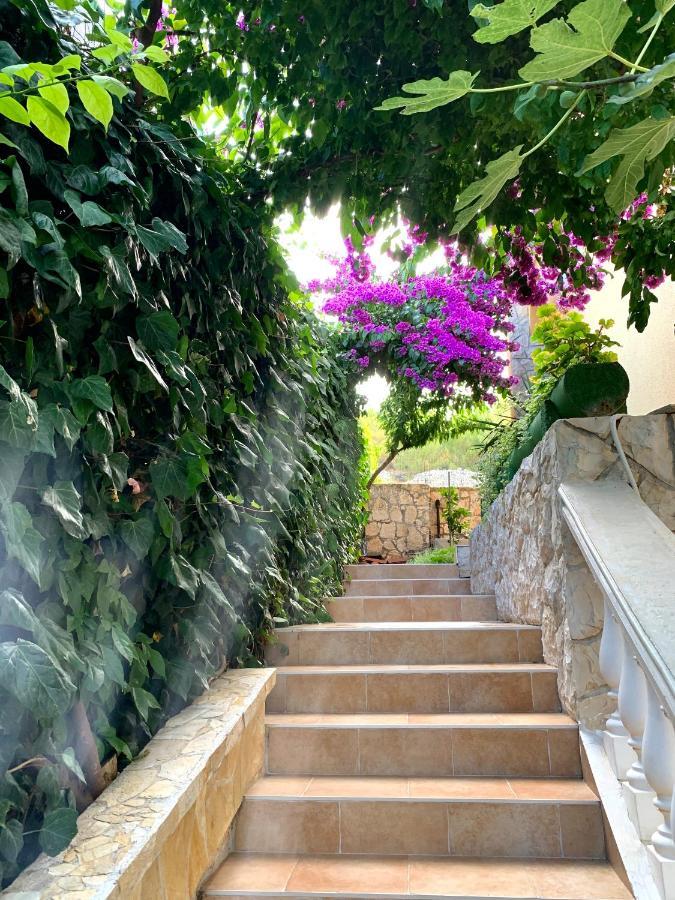 Apartments Villa Ra Zaboric Bagian luar foto